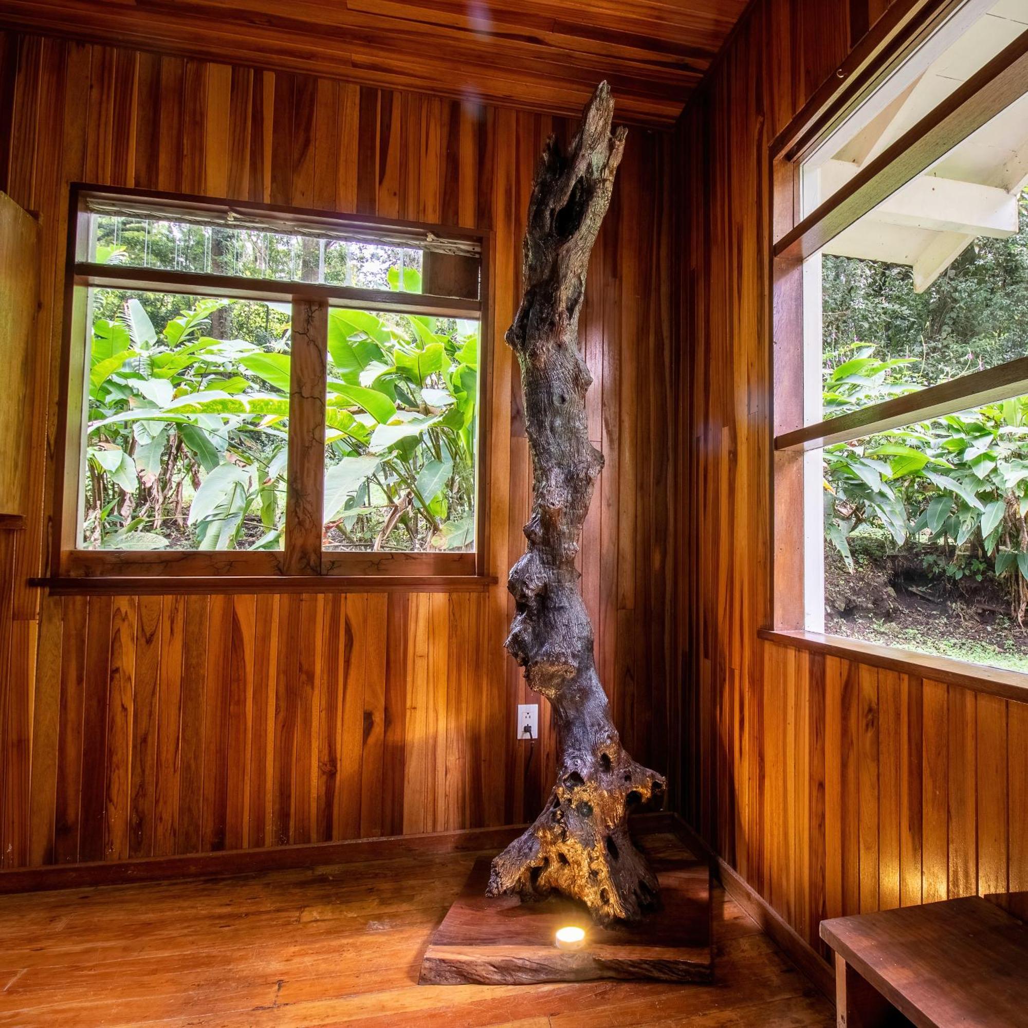 Forest Garden House Monteverde Exterior foto